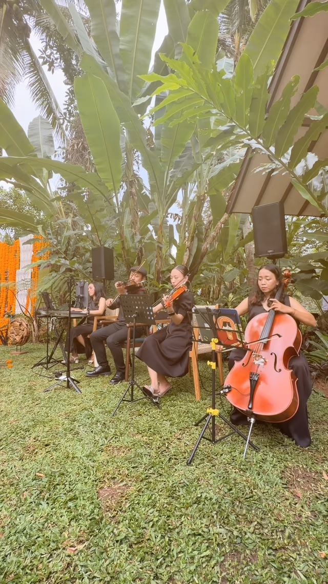 String quartet with cello performing at a Bali garden wedding